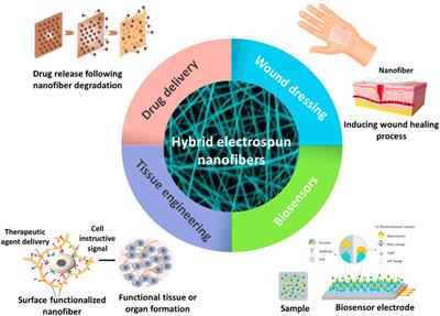 Frontiers | Electrospun Hybrid Nanofibers: Fabrication ...